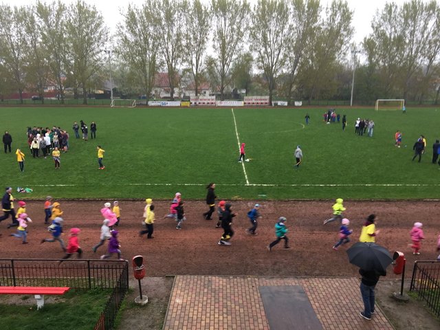 Nárcisz futás 2017 29